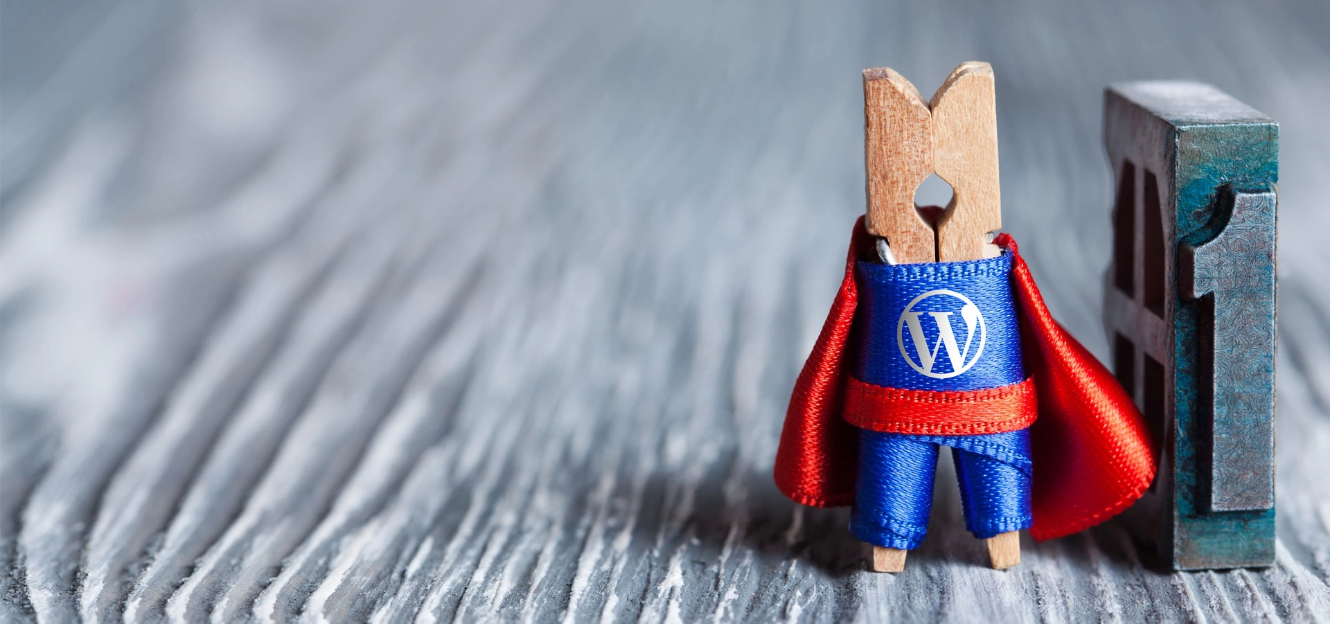 Why is WordPress the Most Popular Choice for Websites?