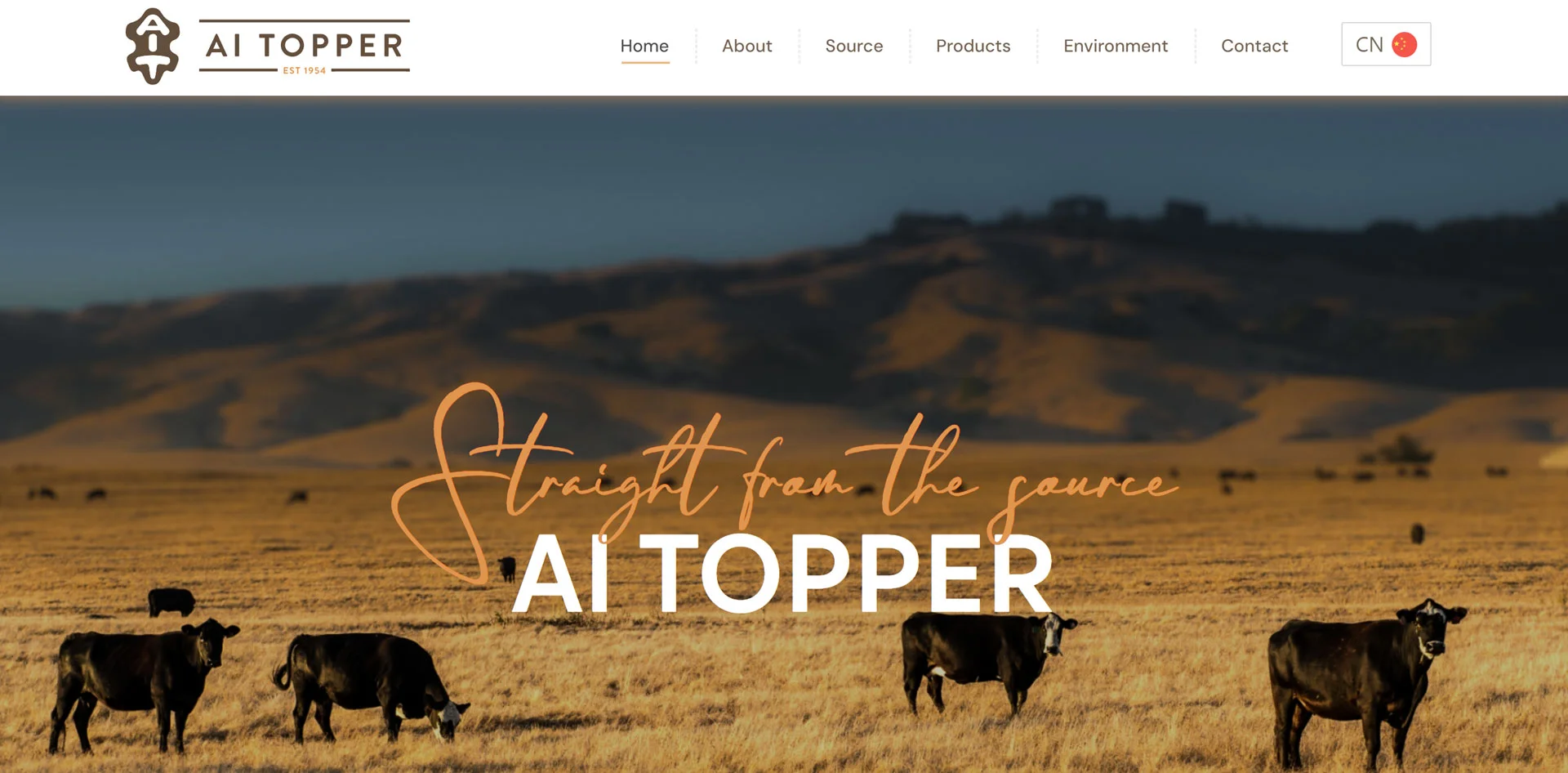 AI-topper-Website-Development-desktop